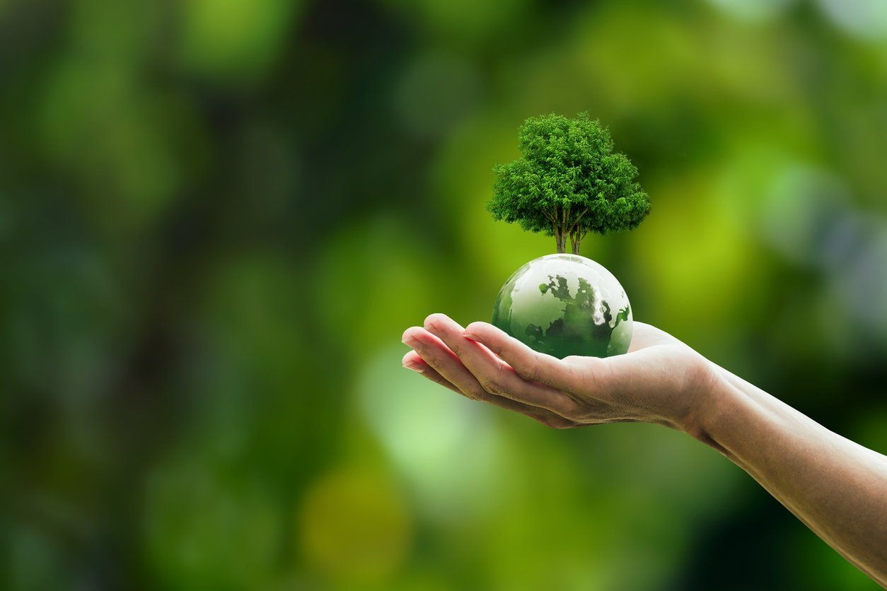 Compensação ambiental