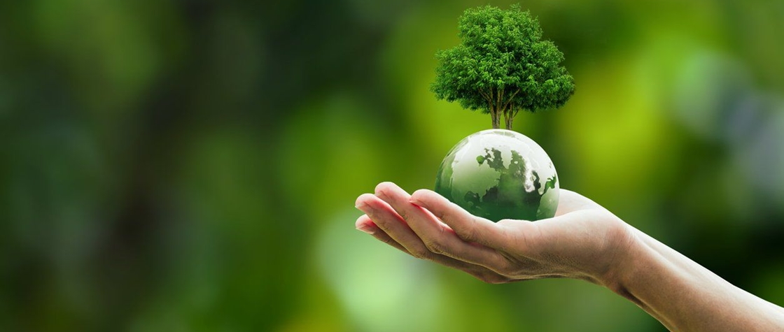 Compensação Ambiental
