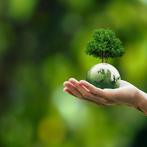 Compensação Ambiental