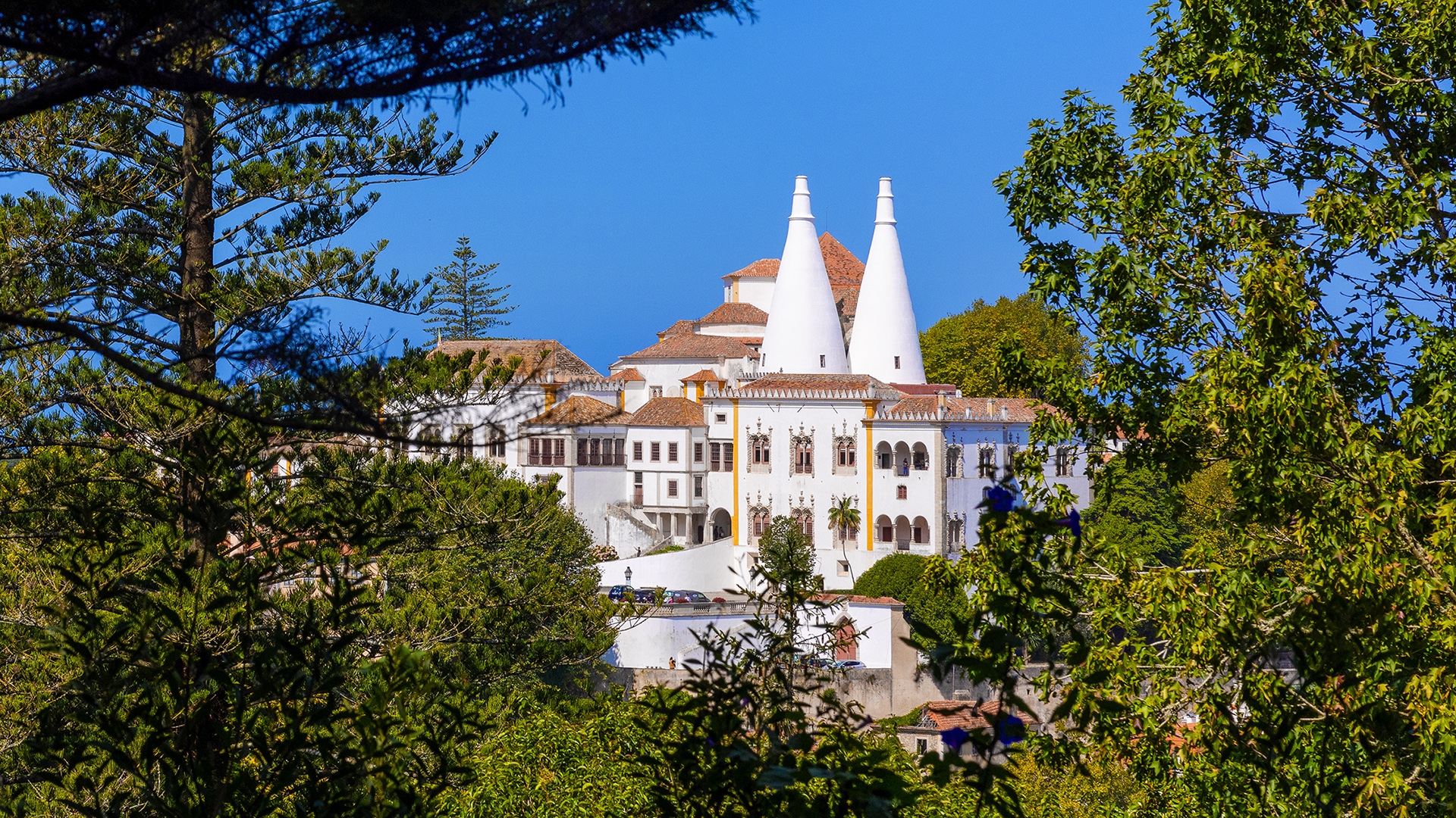 Palácio Nacional de Sintra