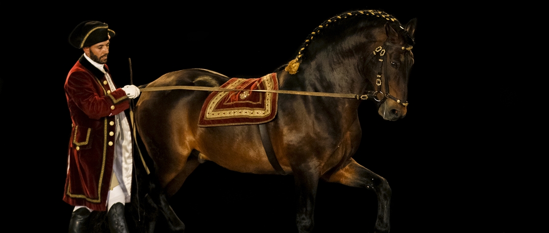 Escola Portuguesa de Arte Equestre