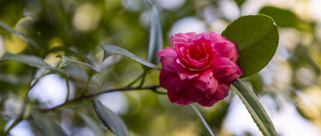 Viver Sintra: Venha ter uma Páscoa Diferente