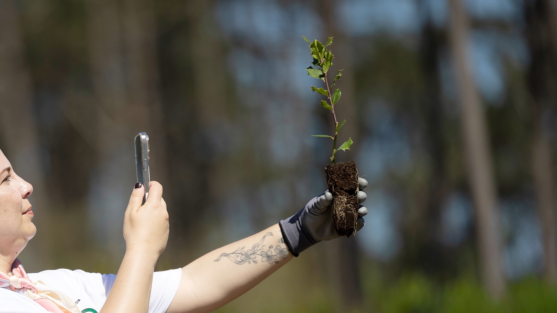 Contribuição voluntária para projetos de restauro ecológico
